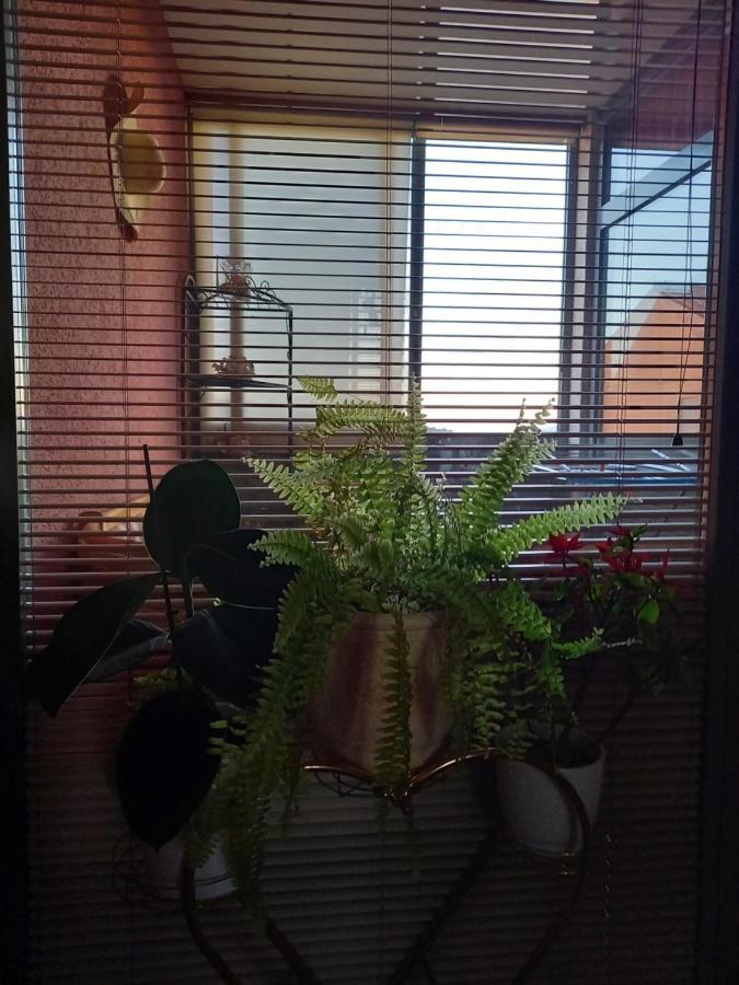 Apartament Rab Centar Due Palit Zewnętrze zdjęcie